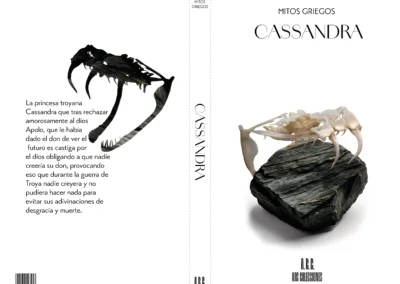 diseño de colección